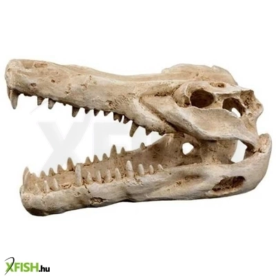 Kzm krokodil koponya akvárium-terrárium dekoráció 14,5x7x9cm
