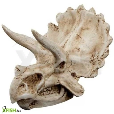 kzm triceratops koponya akvárium-terrárium dekoráció 15,5x11,5x11cm (39173)