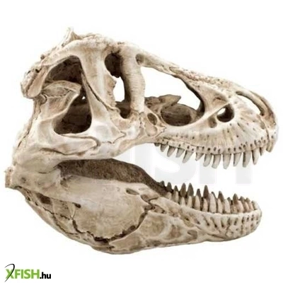 Kzm t-rex koponya akvárium-terrárium dekoráció 14x7,5x9cm