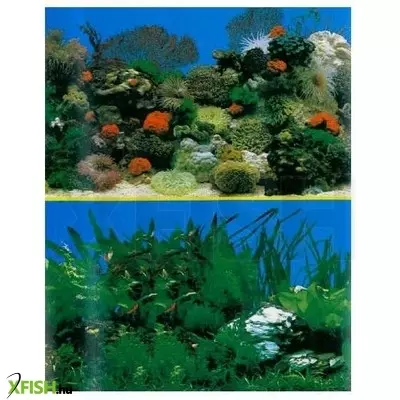 Egyéb vegyes prodac poszter háttér akváriumra sf01 (választható méret)