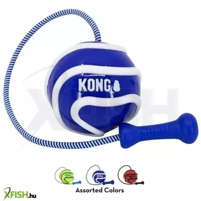 Kong wavz bunjiball labda kutyajáték M