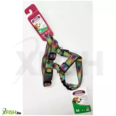 Riga mintás heveder hám közepes kutyáknak