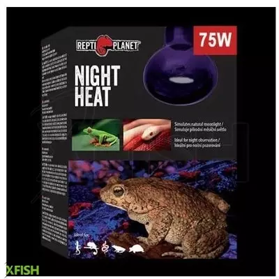 Repti planet night heat éjszakai terrárium izzó - 75w e27