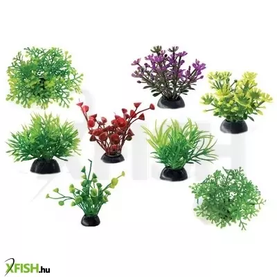 Chicos műnövény csomag 5-6cm mix 16db