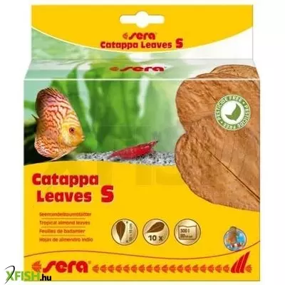 Sera catappa levél kicsi - 10-15cm (10db) akváriumba