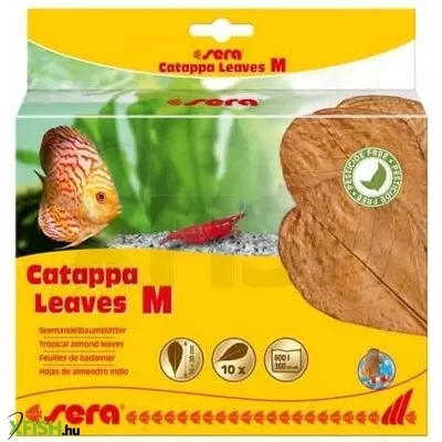 Sera catappa levél közepes - 16-20cm (10db) akváriumba
