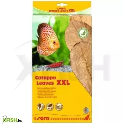 Sera catappa levél XXL - 30-35cm (10db) akváriumba