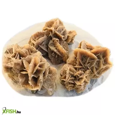 Egyéb vegyes sivatagi rózsa terrárium dekoráció L