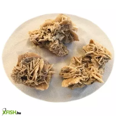 Egyéb vegyes sivatagi rózsa terrárium dekoráció M