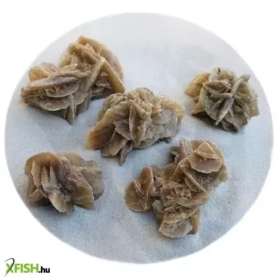 Egyéb vegyes sivatagi rózsa terrárium dekoráció nano