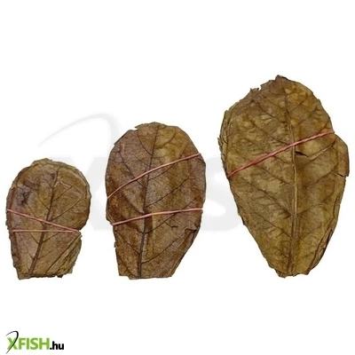 Egyéb Vegyes Catappa Levél Akváriumba Nagy 10db/csomag