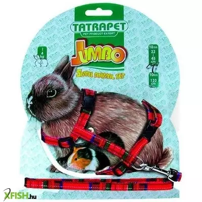 Tatrapet jumbo kisállat hám és póráz - mintás nylon