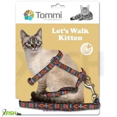 Tommi kölyök macska hám pórázzal