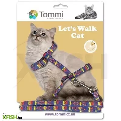 Tommi macska hám pórázzal