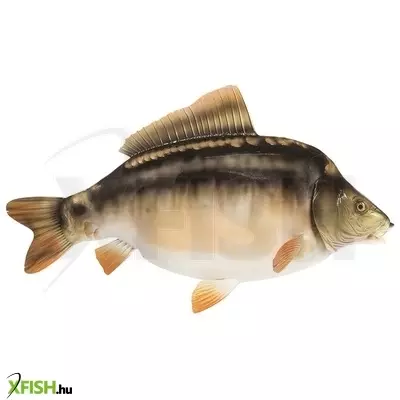 Trófea Ponty Asztali 56Cm