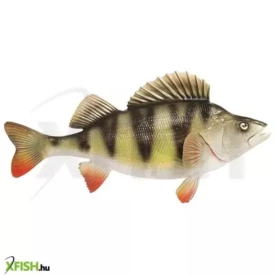 Trófea Sügér Asztali 49Cm