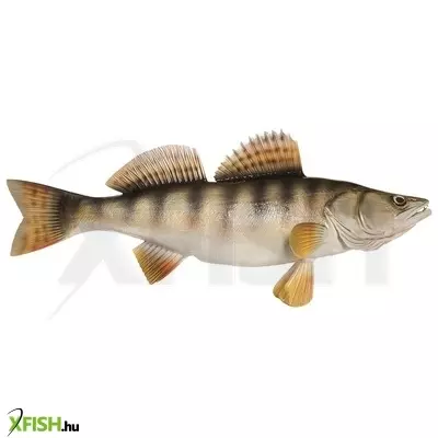 Trófea Süllő Asztali 80Cm