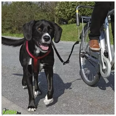 Trixie bicikli szett nagy testű kutyának