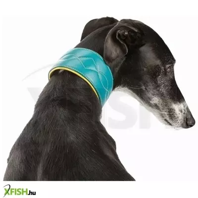 Trixie nyakörv active comfort agaraknak S 27-35 cm/55mm olajkék