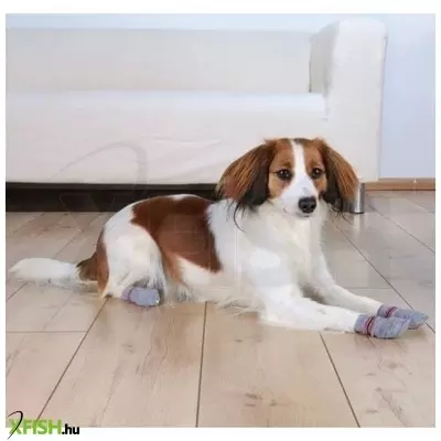 Trixie kutyazokni csúszásmentes talppal M-L szürke 2db/csomag szürke
