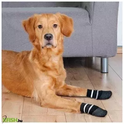 Trixie kutyazokni csúszásmentes talppal L-XL fekete 2db/csomag