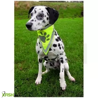 Trixie biztonsági kendő kutyának L-XL 43-60cm