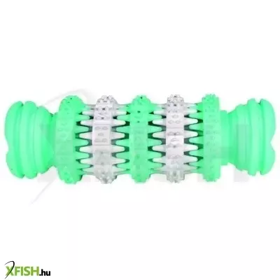 Trixie játék denta fun zöld-fehér rúd 11cm
