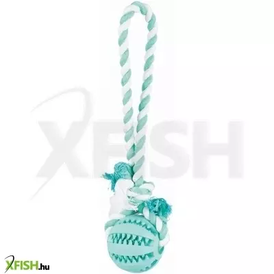 Trixie játék denta fun labda kötéllel/24cm