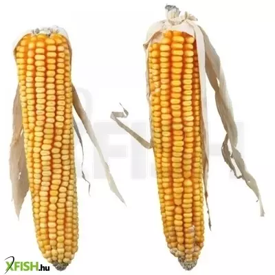 Trixie jutalomfalat rágcsálónak szárított kukorica 2db/250g