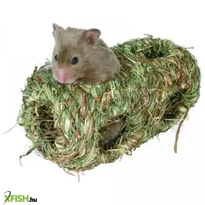 Trixie odú fűből rágcsálóknak dupla 10×19cm