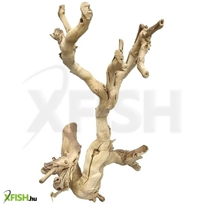 Egyéb vegyes szőlőtőke dekorfa akváriumba és terráriumba M (30-35cm)